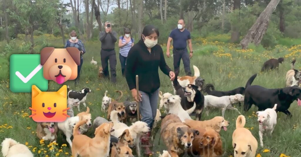 113c8aceb0094771a41d9e23db249a6a