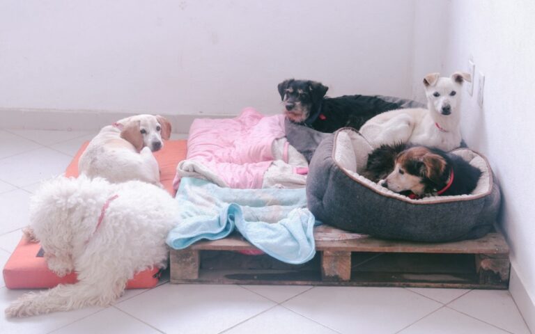 17eba8c4dd884a23a223bcfdb363055a