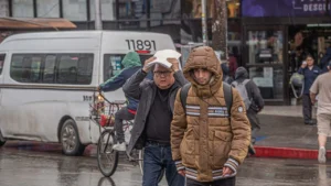 2e14d4f5c56e4a1d8a78339384eb12bd