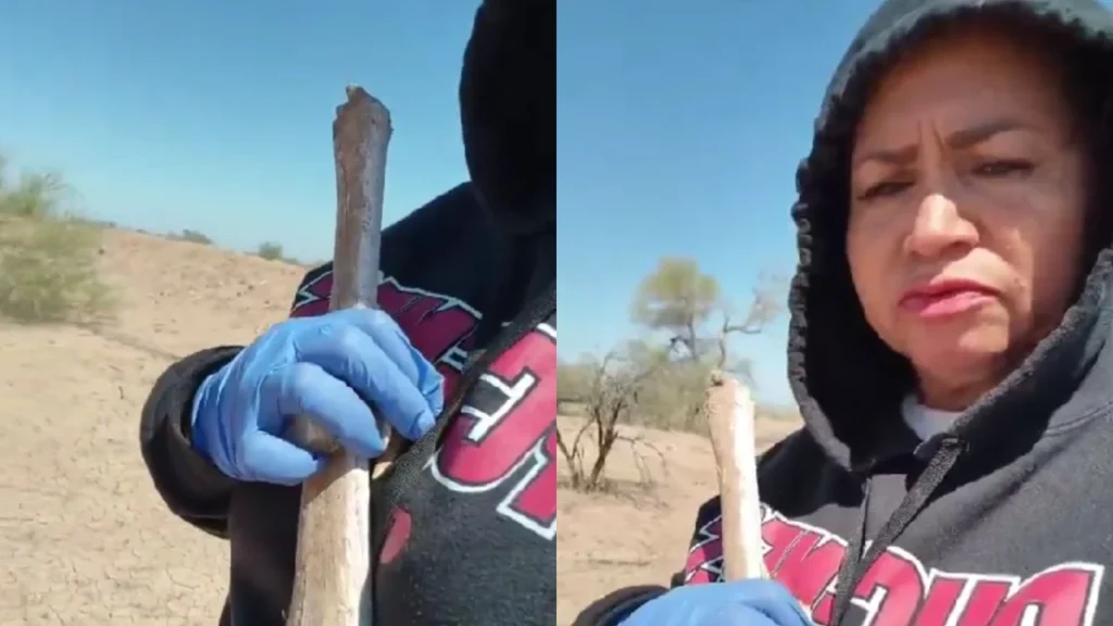 417de1da9c4c4a0fa7e0a6b6ff249fd7