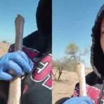 417de1da9c4c4a0fa7e0a6b6ff249fd7