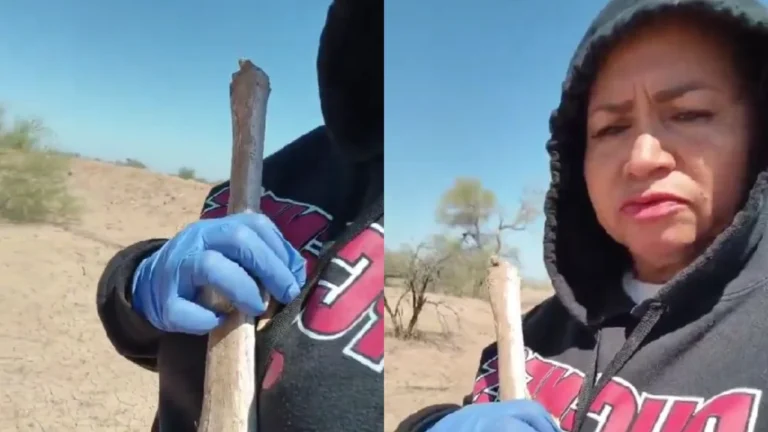 417de1da9c4c4a0fa7e0a6b6ff249fd7