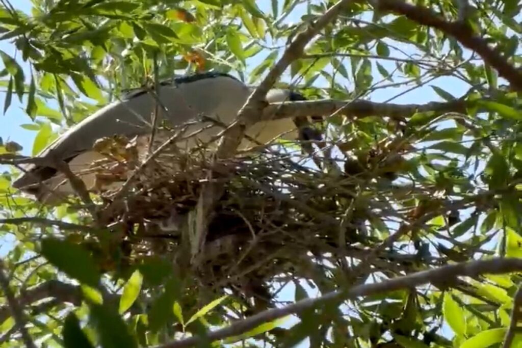 5202cbdadf23403d9d0afe1ded8e4c69