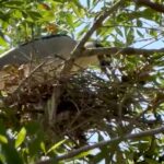 5202cbdadf23403d9d0afe1ded8e4c69