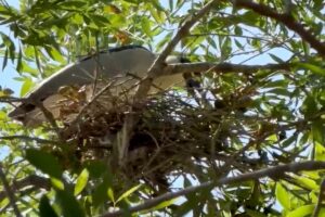 5202cbdadf23403d9d0afe1ded8e4c69