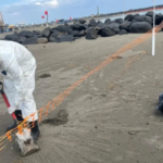 6567dcbcfd7047ad8505c7aada1d94d8