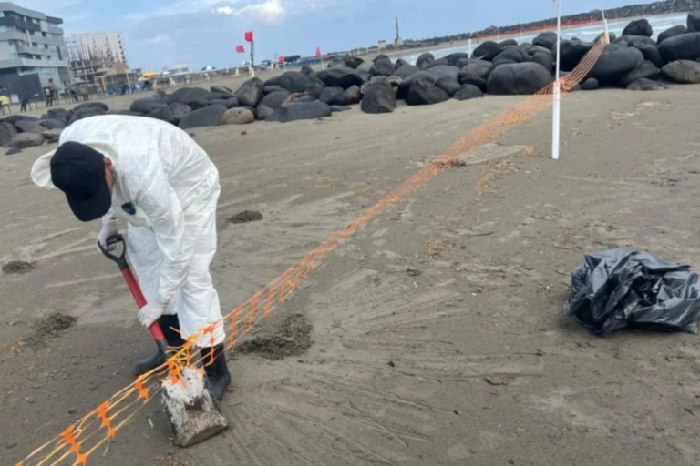 6567dcbcfd7047ad8505c7aada1d94d8