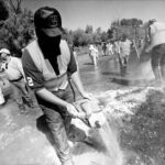 70933681b7a643648160d19058978e6b