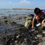 7bb9505fafd945bfb926e1b048173763