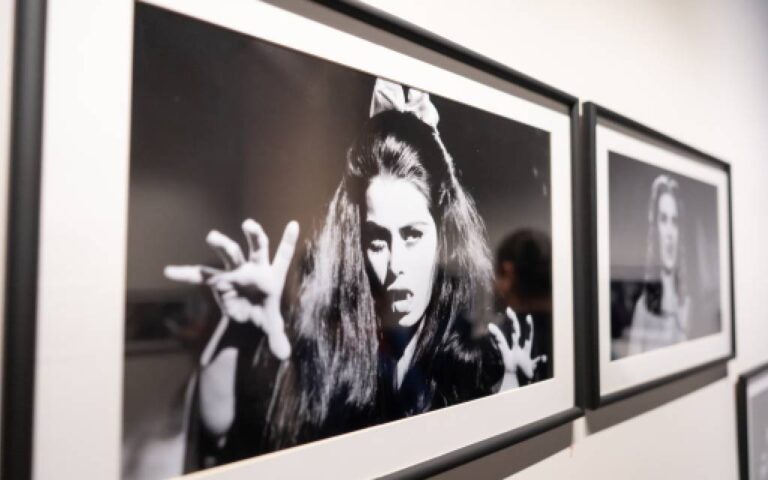 7c1d87ce67ea4549aa0b187f62b8c58e