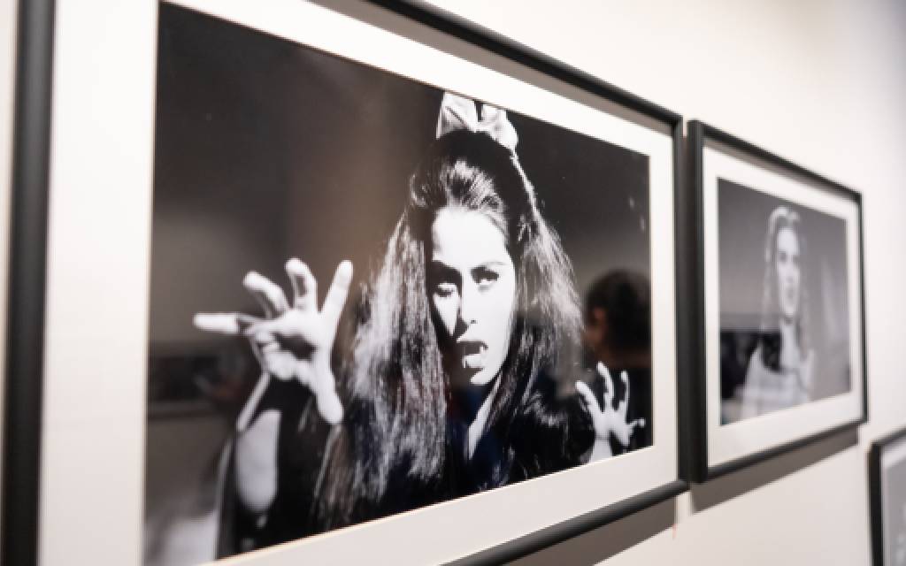 7c1d87ce67ea4549aa0b187f62b8c58e