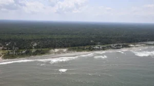 8931444a543d4ae8a181b57593492e39