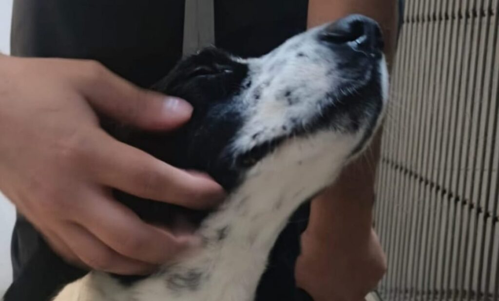 9124057f570748259f61b287893e443c