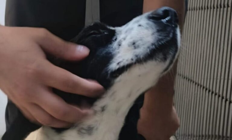 9124057f570748259f61b287893e443c