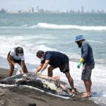 926216a1d4b74773a99526712a9bee66