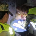 a006e2f12a9544b99ce015f433a734d2