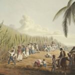 a80893520ad54baa87b8a5eacb6a85a6