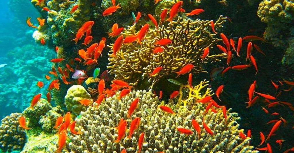 a9e13a7b92024a61b088a721a4fee760