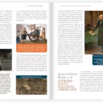 af92d36cc8df47ea9a7ffcde69cd4bbf