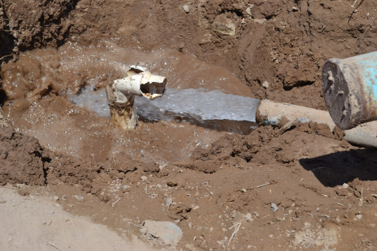 c418376dbd2a4ed486a3428994e65a48