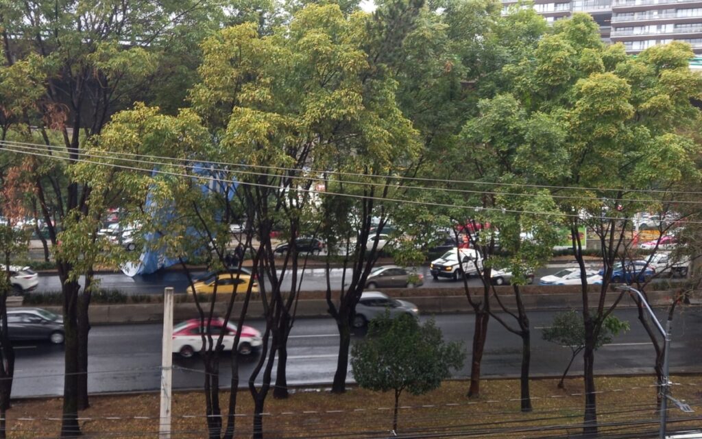 de280f2f6228464ead7af4ff29526720