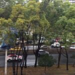 de280f2f6228464ead7af4ff29526720