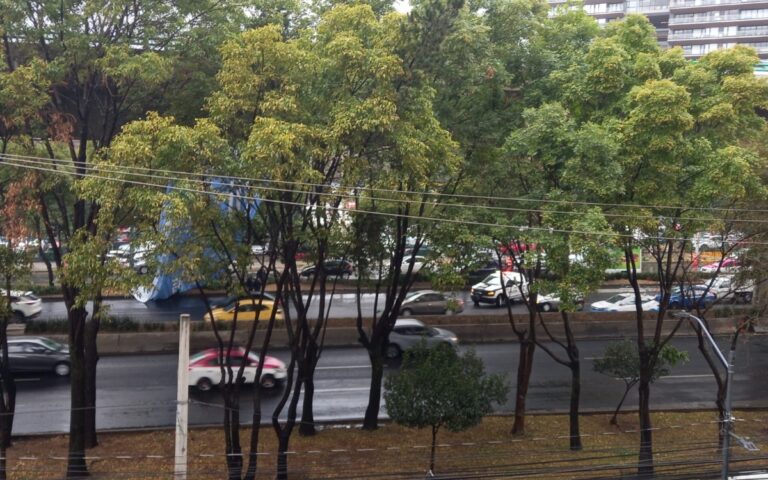 de280f2f6228464ead7af4ff29526720