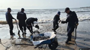 ee06519c91c34c21995f216c80985f52