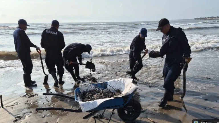 ee06519c91c34c21995f216c80985f52