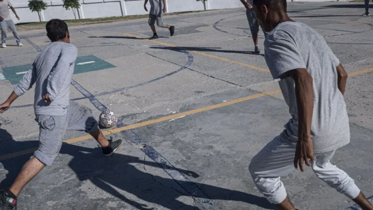 03447348f52340d7bfc1f557215b9512