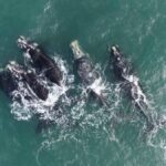 06076c1a429a4e718e540e20fe0c9f2d