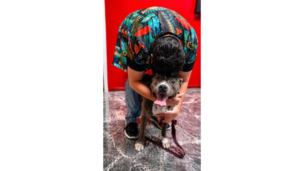 0abae611378a4924b6a7a520e4ff979c