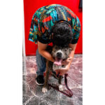 0abae611378a4924b6a7a520e4ff979c