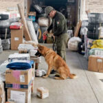 2ba7ef929a614780b0e13e5dd7befb01