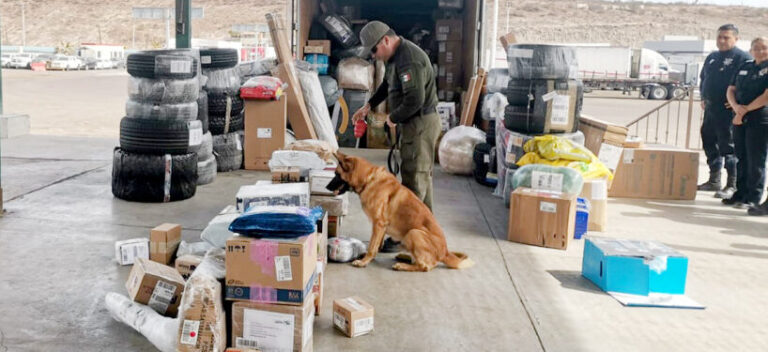 2ba7ef929a614780b0e13e5dd7befb01