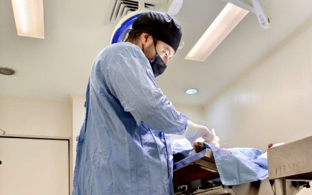 32fe757e3bf447dfb37505a64e91934c