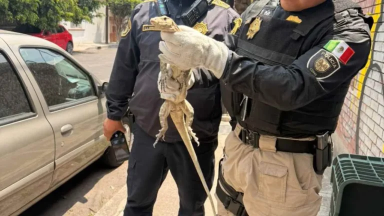 345800b056bb494bbaa5e0e0b370bc77