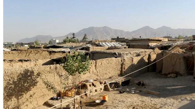 3bbbf0d442f947c8ab126a79af6672fd