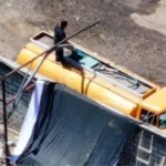 56f8d7b4bbb34d06b1db575b2f029761