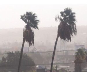 5920e91bd60349b697fffe4e13d222dc