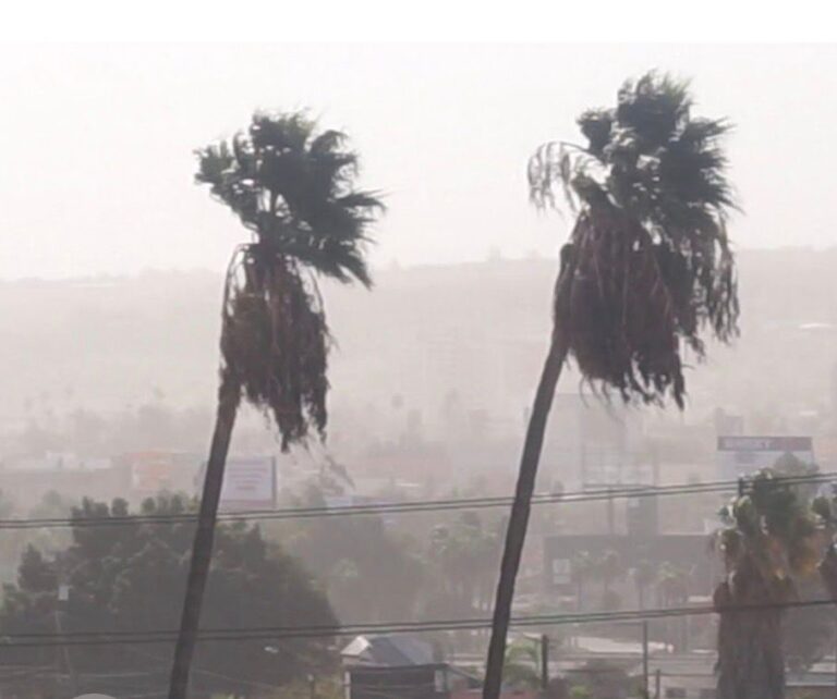 5920e91bd60349b697fffe4e13d222dc