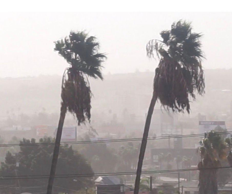 5920e91bd60349b697fffe4e13d222dc