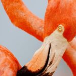 5e6f715d816e4f30b6e65eaba5520bcf