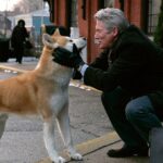 63cd1f1f87054a5ea42023072ab06606