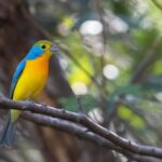 6590db7f7d694d338f6a354d6bbc4f9f