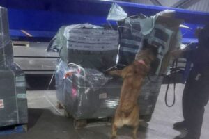 7cea9de3cb72469692f5366bf7ebd892