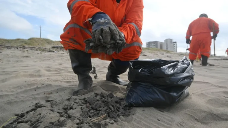 7e044873e1924eefbf747ef810894541