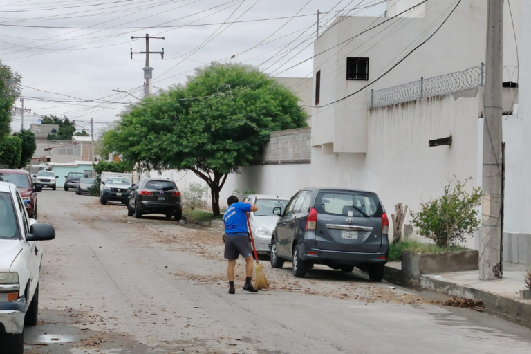 83c8b07702a349e5a178ebb6e2493f15