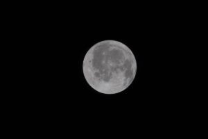 8f515743f4b04fbfb93343adcf484c50