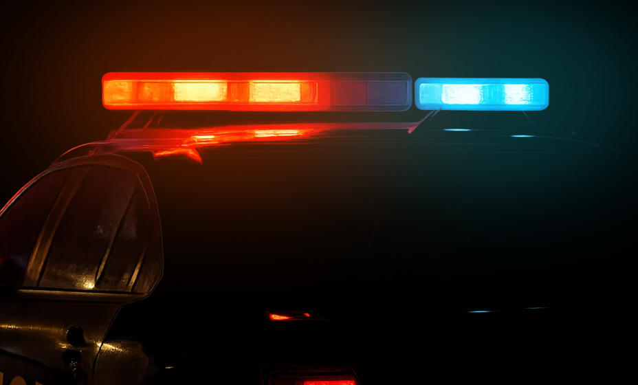 919c41e02e2e47cf88b2fdbd9f0210f0